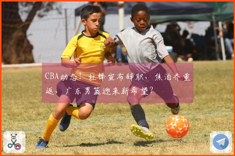 CBA动态！杜锋宣布辞职，焦泊乔重返，广东男篮迎来新希望？