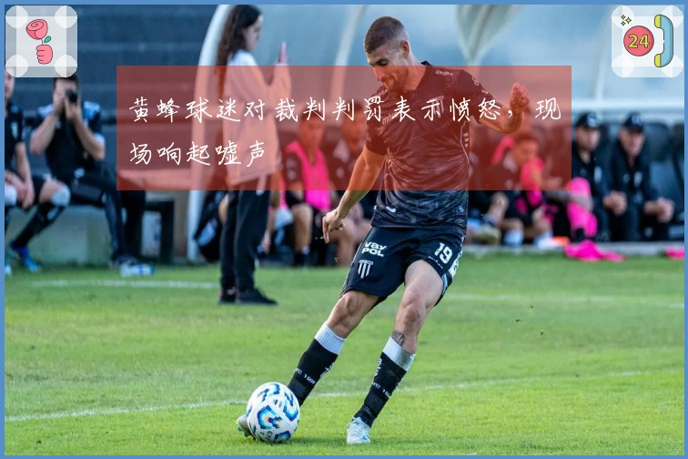 黄蜂球迷对裁判判罚表示愤怒，现场响起嘘声